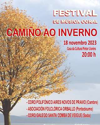 XIII Festival Camiño ó Inverno en Sada