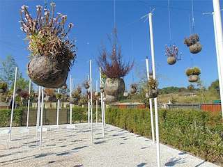 XV Festival Internacional de Xardíns de Allariz - FIXA