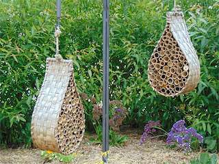 XV Festival Internacional de Xardíns de Allariz - FIXA