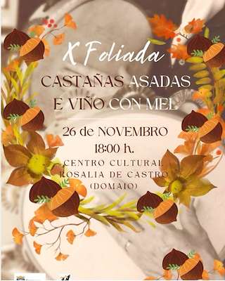 XIII Foliada de Domaio en Moaña