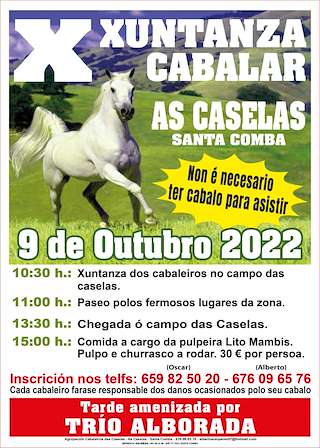 XIII Xuntanza Cabalar de As Caselas (2025) en Santa Comba
