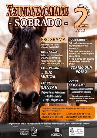 XII Xuntanza Cabalar en Sobrado