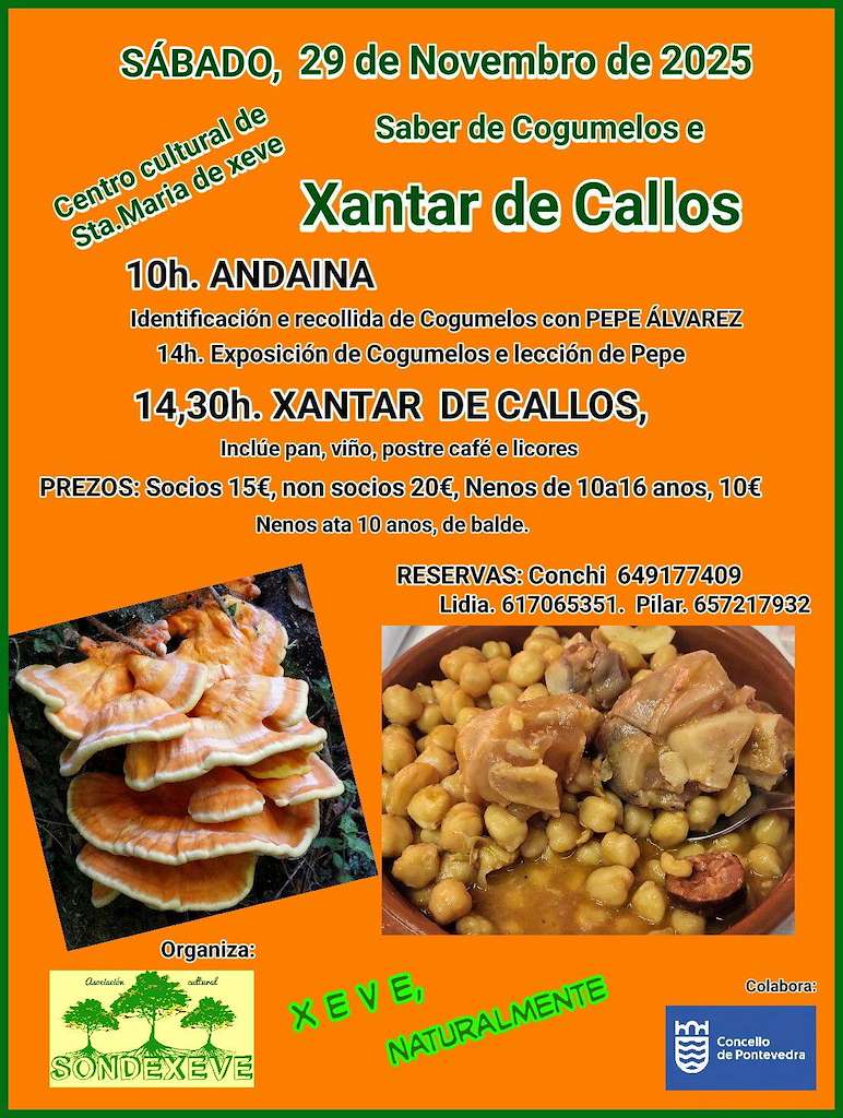 Xantar de Callos de Xeve (2025) en Pontevedra