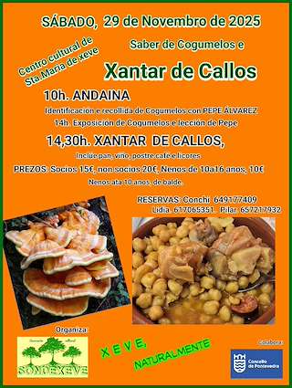Fechas, información, programa, cartel, imágenes, mapa y ubicación de Xantar de Callos de Xeve (2025)  en  Pontevedra