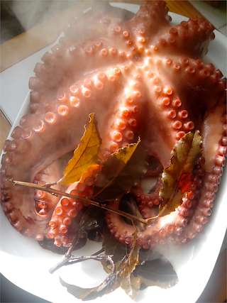 XV Festa Gastronómica de Soandres en Laracha