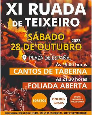 XIII Ruada de Teixeiro (2025) en Curtis