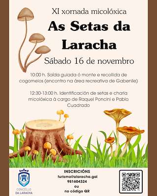 XII Xornada Micolóxica - As Setas en Laracha