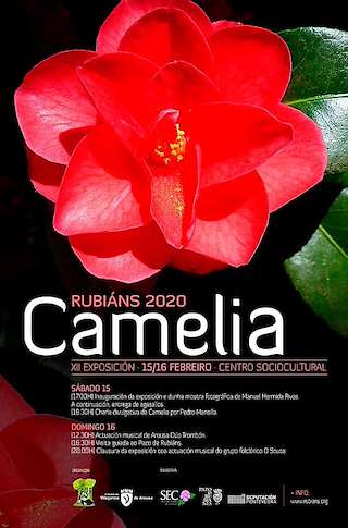 XIV Exposición da Camelia de Rubiáns en Vilagarcía de Arousa
