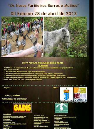 XXII Romaría de Os Nosos Fariñeiros Burros e Muíños (2026) en Tui