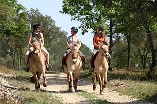XIII Ruta Cabalar en Cerdedo Cotobade