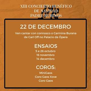 XIV Concierto de Navidad Padre Rubinos en A Coruña