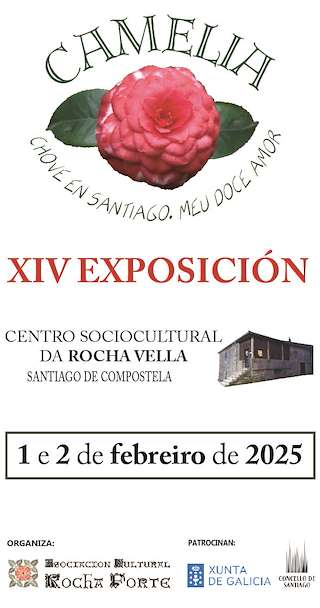 XV Exposición da Camelia da Rocha Vella en Santiago de Compostela