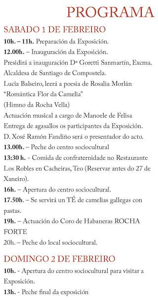 XV Exposición da Camelia da Rocha Vella en Santiago de Compostela