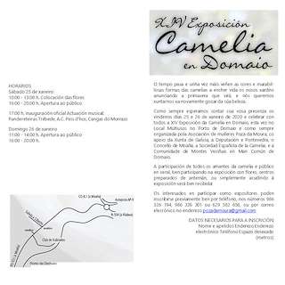 XVII Exposición de Camelias de Domaio en Moaña