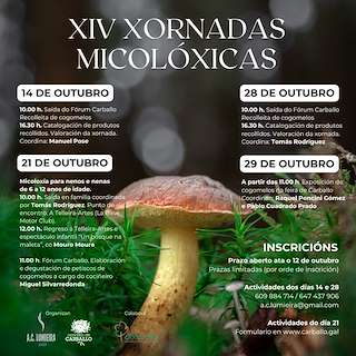 XVI Xornadas Micolóxicas en Carballo