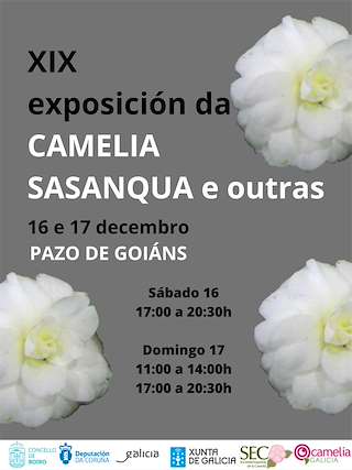 XX Exposición da Camelia Sasanqua e Outras Especies en Boiro