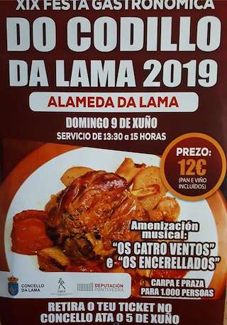 XXIII Festa do Codillo en A Lama