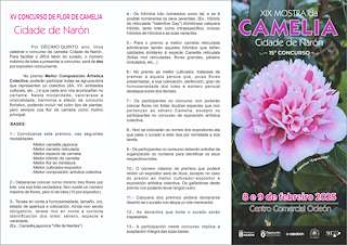 XX Mostra da Camelia en Narón