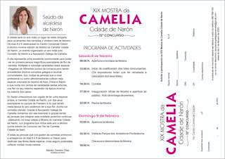 XX Mostra da Camelia en Narón