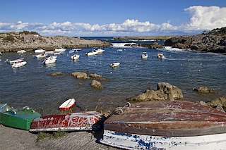 XX Xornadas da Cultura Mariñeira "Muros mira ao mar"