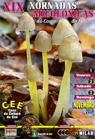 XXIV Xornadas Micolóxicas da Costa da Morte (2025) en Cee