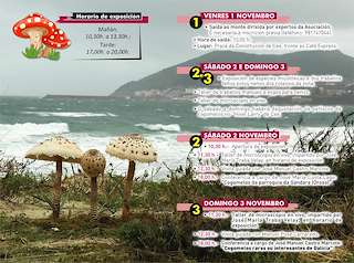 XXIV Xornadas Micolóxicas da Costa da Morte (2025) en Cee