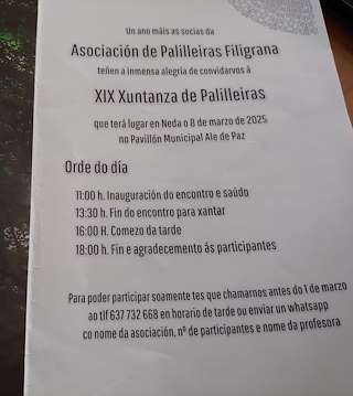 XX Xuntanza de Palilleiras en Neda
