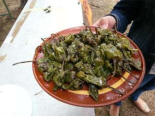 XLV Festa do Pemento de Herbón en Padrón