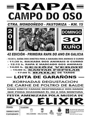 XLVII Rapa das Bestas de Campo do Oso en Mondoñedo