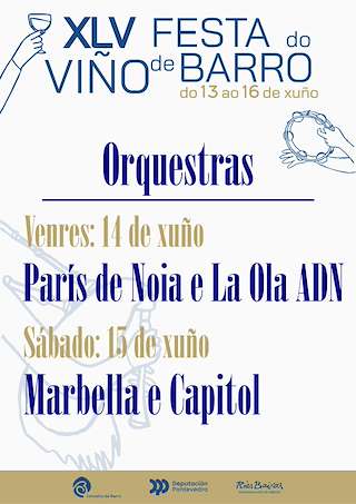 XLVI Festa do Viño en Barro
