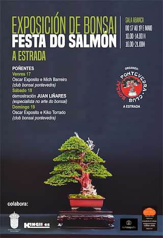 LII Festa do Salmón (2026) en A Estrada