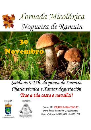 Xornada Micolóxica en Nogueira de Ramuín
