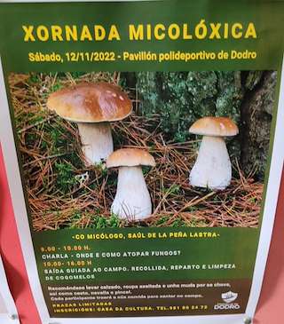 Xornada Micolóxica en Dodro