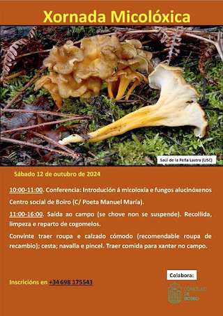 Xornada Micolóxica (2025) en Boiro