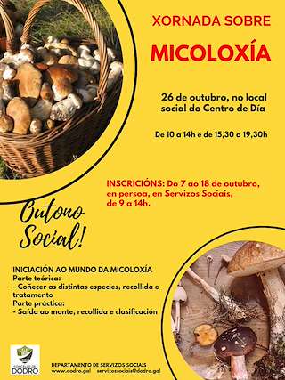 Xornada Micolóxica en Dodro