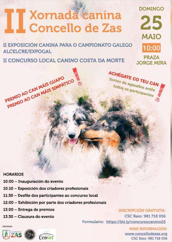 II Xornada Canina - II Concurso Local Canino Costa da Morte (2025) en Zas