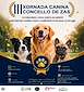 FiestasRelacionadas III Xornada Canina - III Concurso Local Canino Costa da Morte (1) en Zas