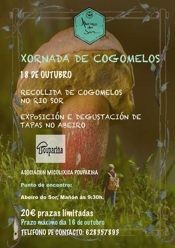 Xornada de Cogomelos do Abeiro do Sor  (2025) en Mañón