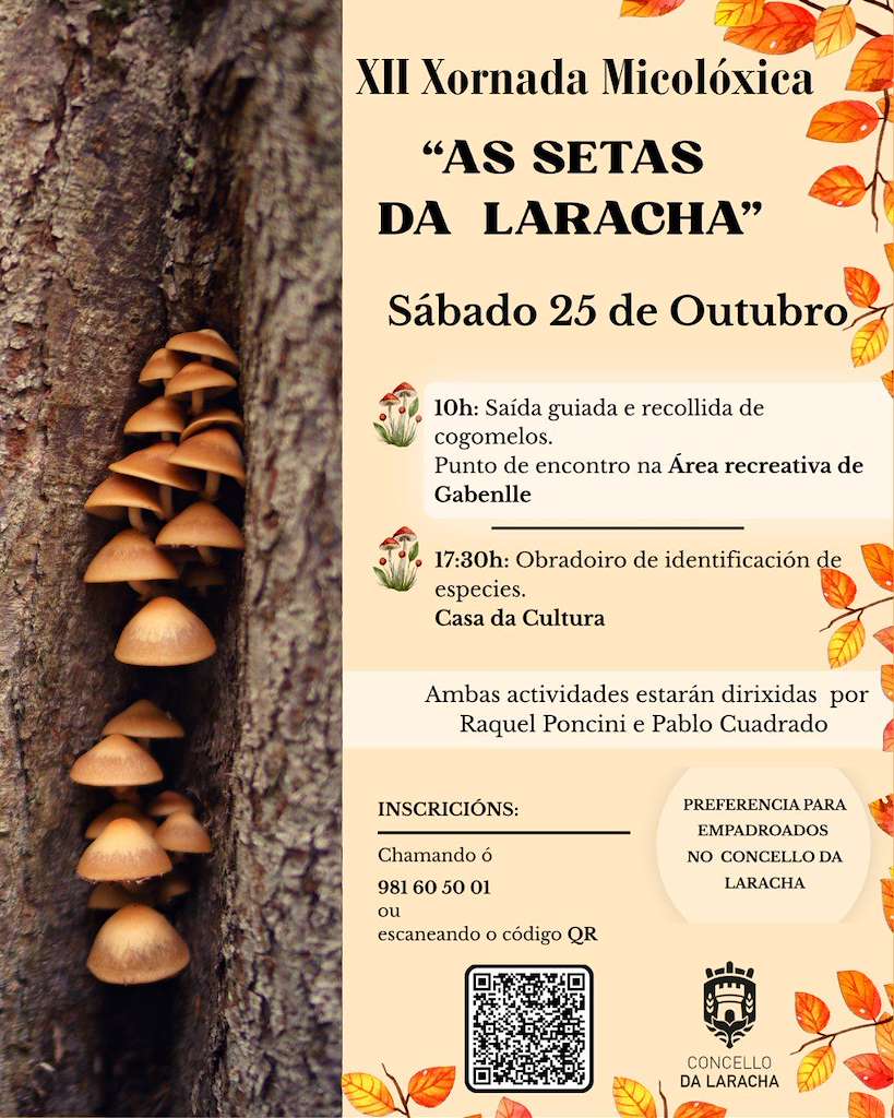 XII Xornada Micolóxica - As Setas en A Laracha