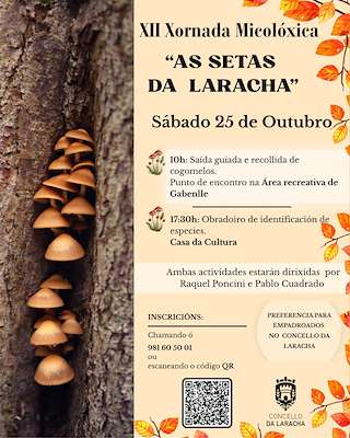 Fechas, información, programa, cartel, imágenes, mapa y ubicación de XII Xornada Micolóxica - As Setas  en  A Laracha