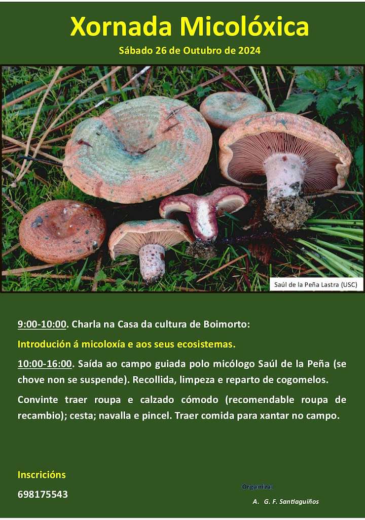 Xornada Micolóxica en Boimorto