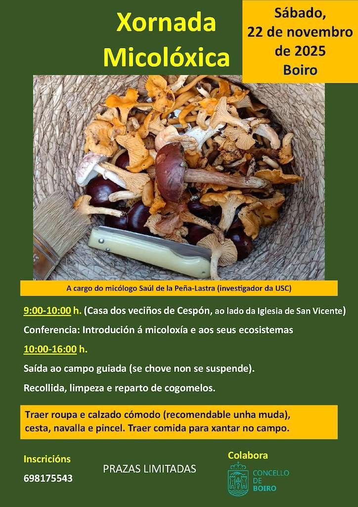 Xornada Micolóxica (2025) en Boiro