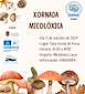 FiestasRelacionadas Xornada Micolóxica de Insua en Vilalba