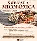 FiestasRelacionadas Xornada Micolóxica de Noceda  en Lalín