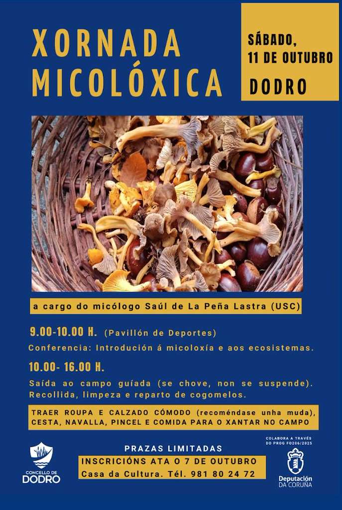 Xornada Micolóxica (2025) en Dodro