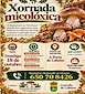 FiestasRelacionadas Xornada Micolóxica (1) en Lobeira