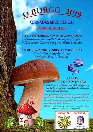 Xornadas Micolóxicas de O Burgo en Pontevedra
