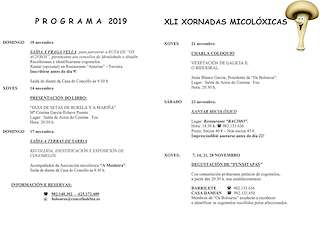 XLV Xornadas Micolóxicas en Foz