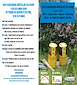 FiestasRelacionadas XXVI Xornadas Apícolas do Eume en As Pontes de García Rodríguez