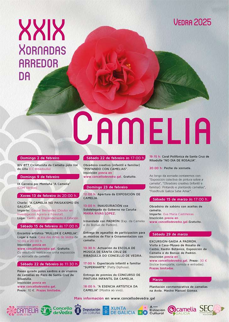 XXVIII Xornadas Arredor da Camelia (2024) en Vedra